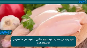 تغير جديد في سعر البانيه اليوم الإثنين.. تعرف على السعر في الأسواق الآن